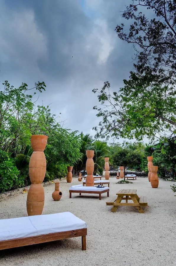 ***  Hotel Barronegro (Adults Only) Tulum México